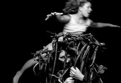 Scratching the Inner Fields (Foto R. Terryn)