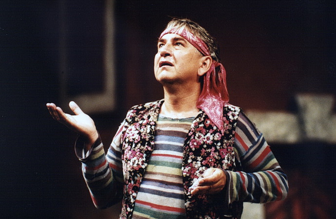 Miroslav Donutil (Sluha dvou pánů)