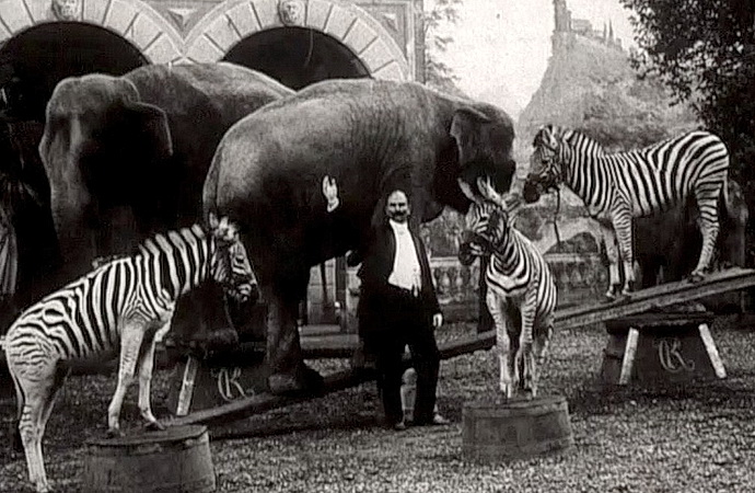 Cirkus Kludský