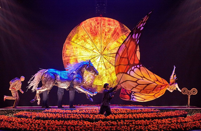 Cirque du Soleil: Luzia