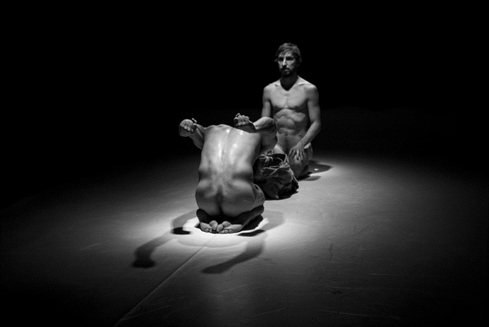 Animalinside (SKOK!) 