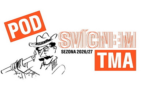 Hlediště v Divadle v Dlouhé