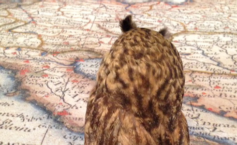 Kill them all! – The Prague DUB vision