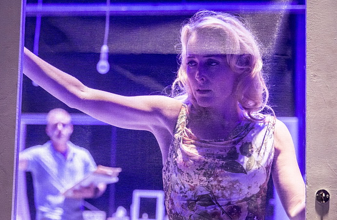 Gillian Anderson - Tramvaj do stanice Touha (Foto: Johan Per