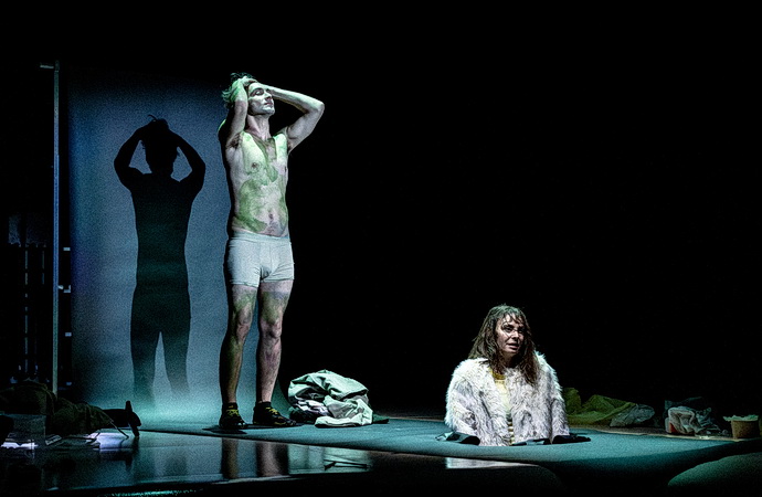 Vegetari�nka (Divadlo v Dlouh�)