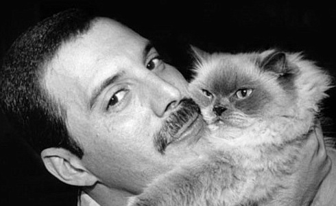 Freddie Mercury: P��b�h