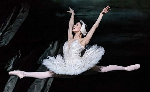 Marianela Núñez (Odetta)