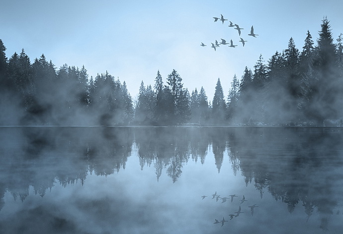 Labut jezero (Swan lake - vizual)  
