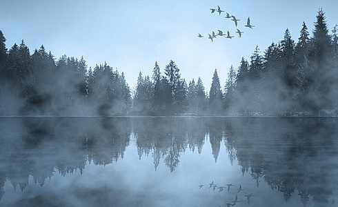 Labut jezero (Swan lake - vizual)  
