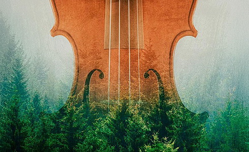 D�evo pro Stradivariho