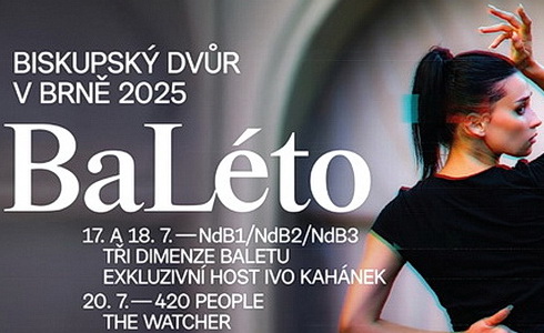 Vizuál akce (NdB)