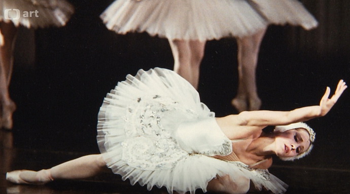 Nikola Márová