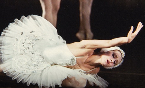 Nikola Márová