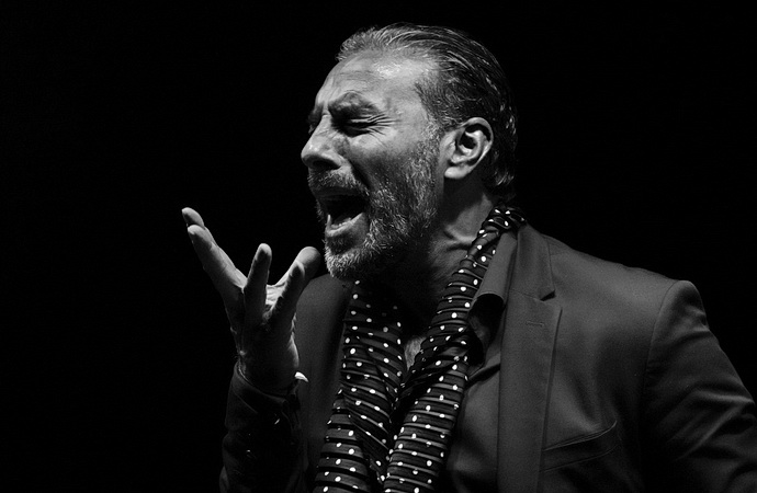 Pedro El Granaín