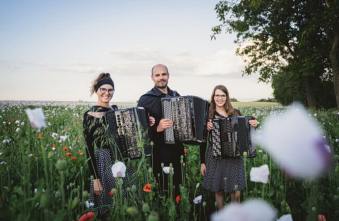Check Accordion Trio