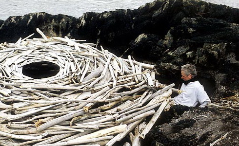 Andy Goldsworthy