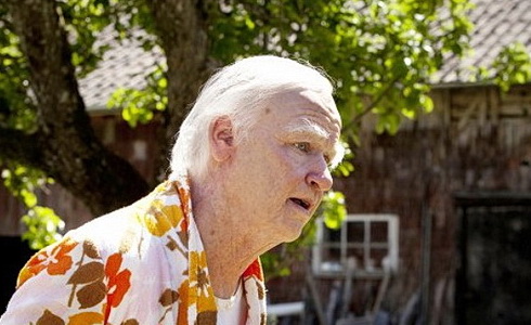 Robert Gustafsson (Stoletý stařík….)