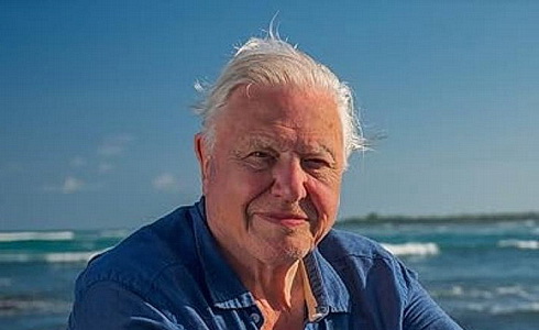 Sir David Attenborough 