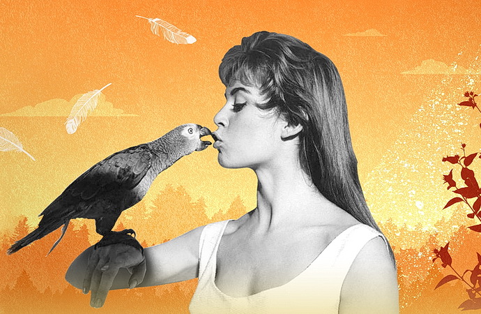 Brigitte Bardotová, rebelka s příčinou
