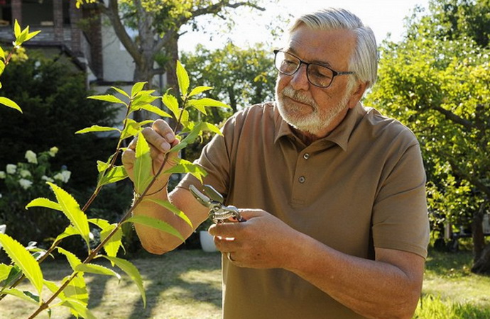 Jiří Bartoška (Zbožňovaný)