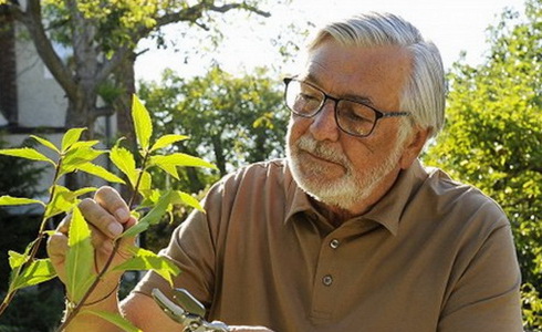 Ji�� Barto�ka (Zbo��ovan�)