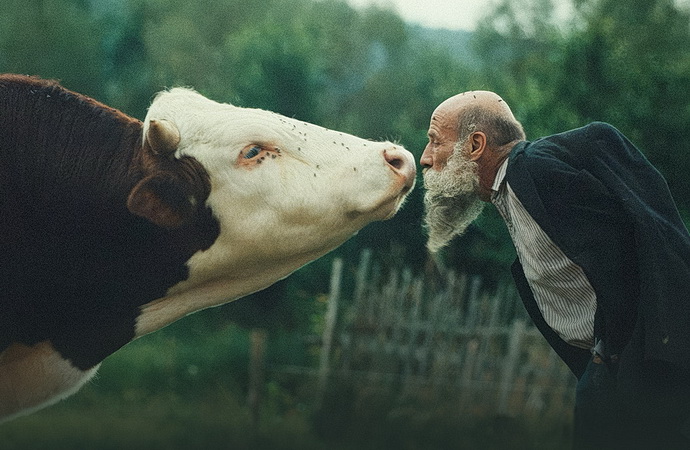 Rad�ji ze��let v divo�in�