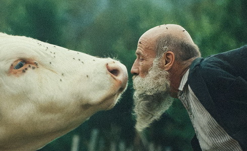 Rad�ji ze��let v divo�in�