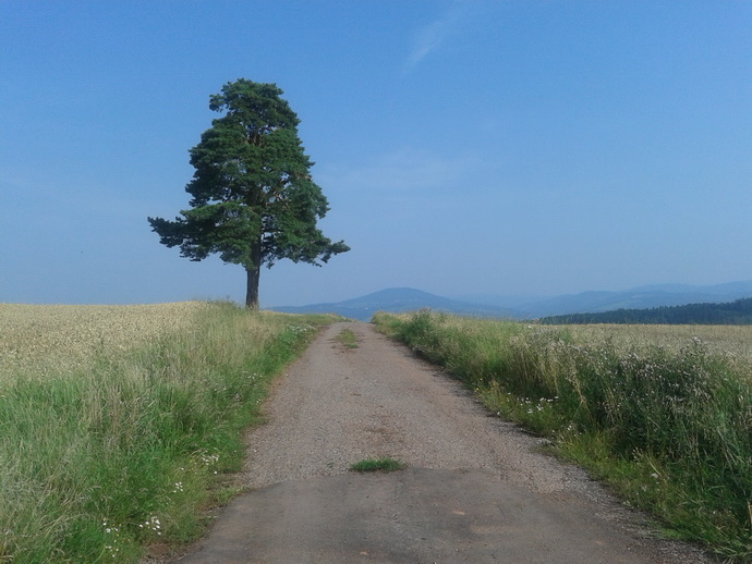 Sněžka - KRNAP