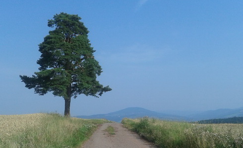 Sněžka - KRNAP