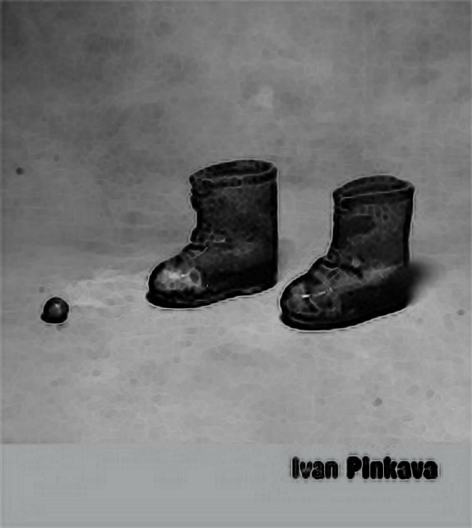 Obal knihy - Ivan Pinkava