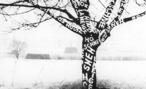 Dezider TÓTH: Sneh