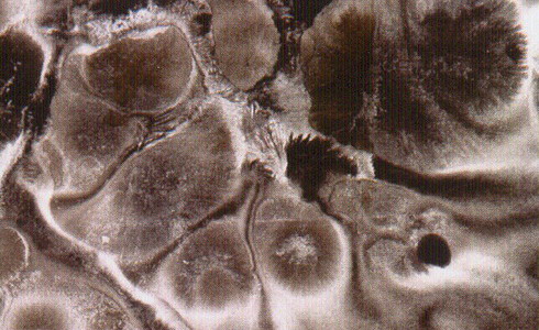 Vladislav Mirvald - Tu�e