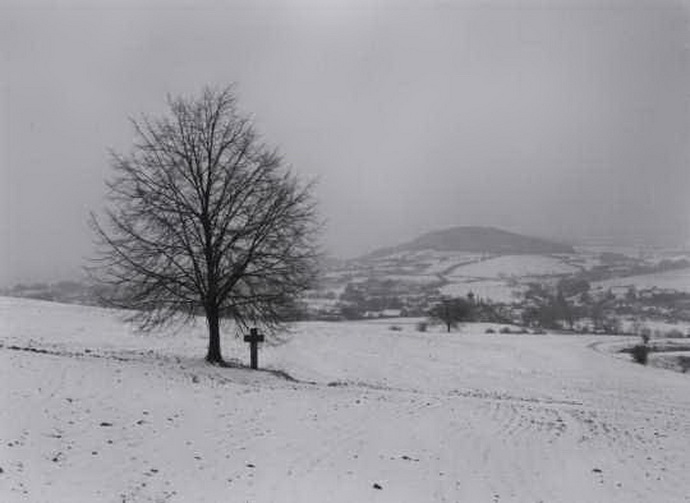 Jan Reich – Poepice v zim, 1981