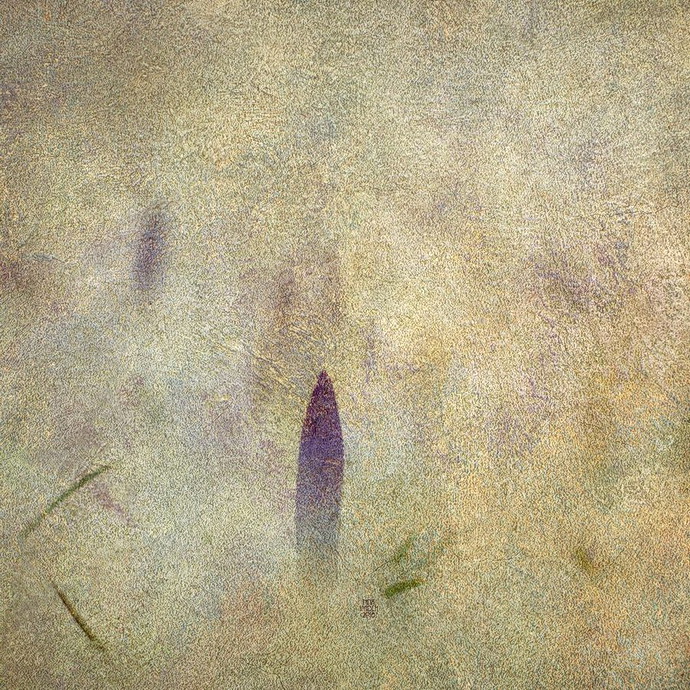 Crocus under the snow, 2017