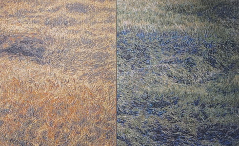 Tom emla: Defragmentation