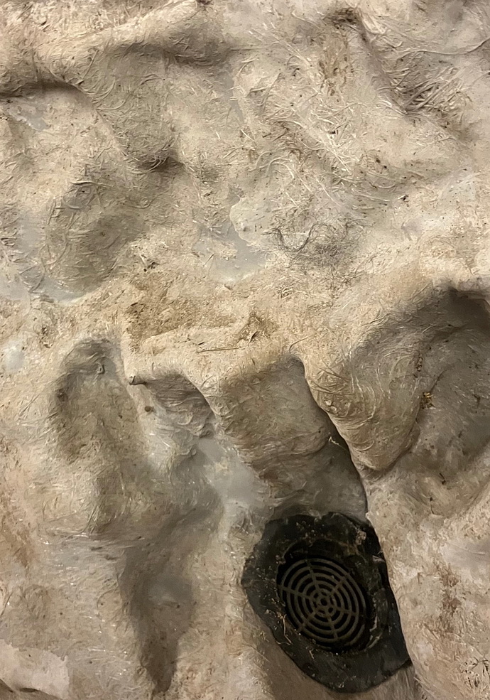 Kaja Lahoda: No Place like Home