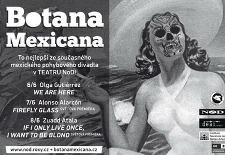 Mexické pohybové divadlo