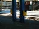 Druz� se �korp�.