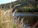 Vltavsk� �dol�