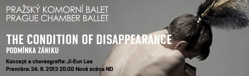 The Condition of Disappearance