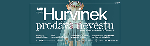 Hurvnek prodv nevstu NdB)