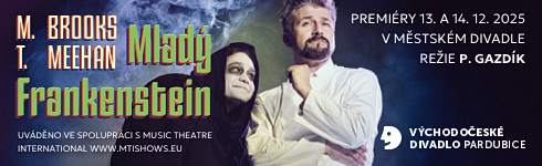 Mlad Frankenstein (VD)